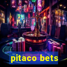 pitaco bets